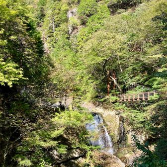 みたらいの滝