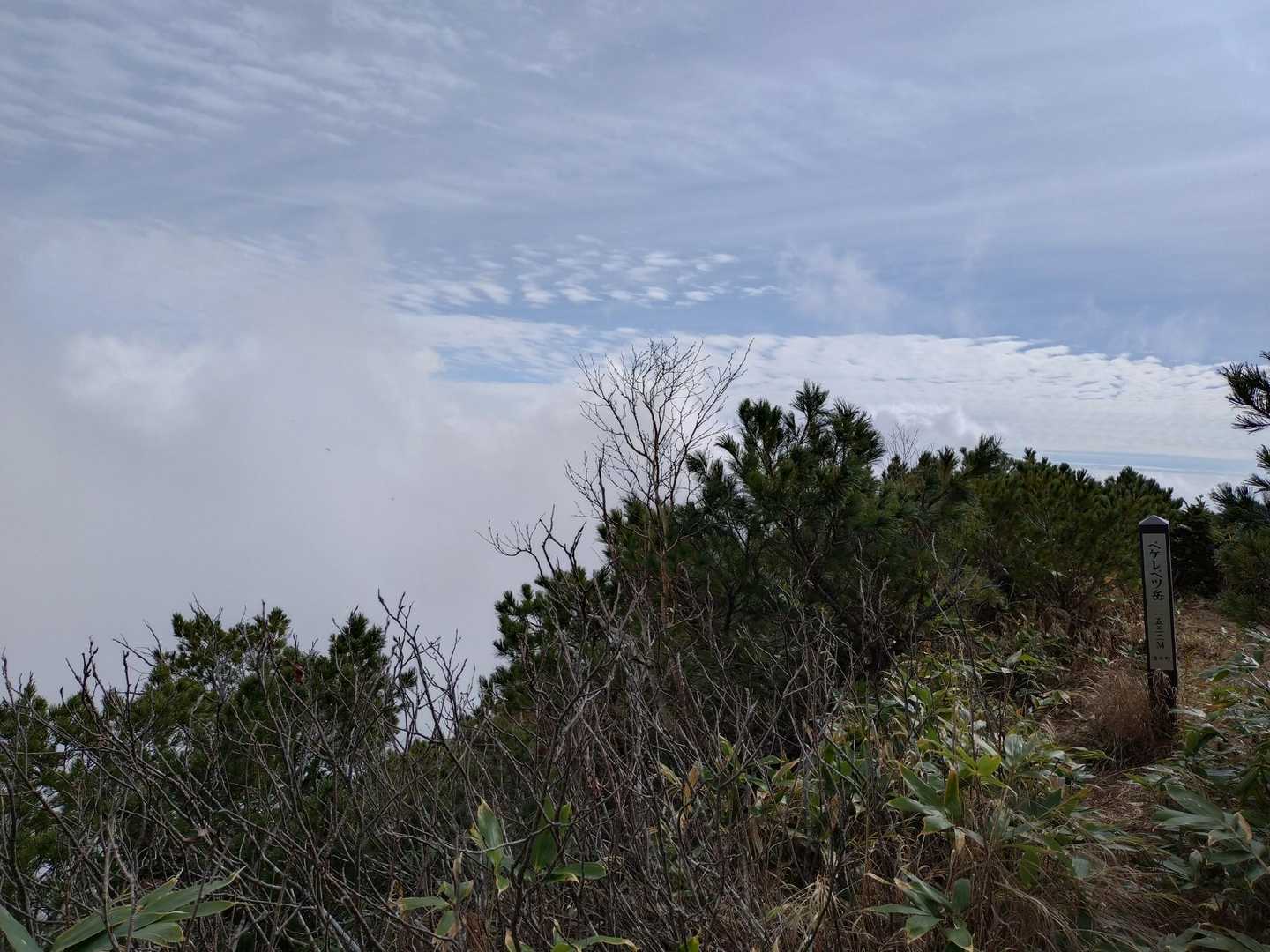 見えてきました！