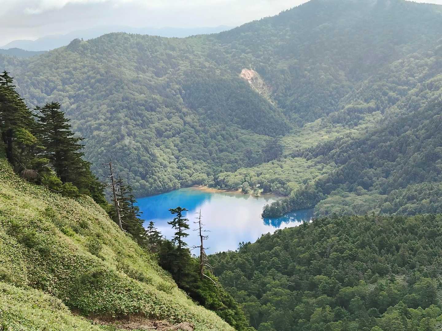 裏志賀山-志賀山神社 往復コースの写真