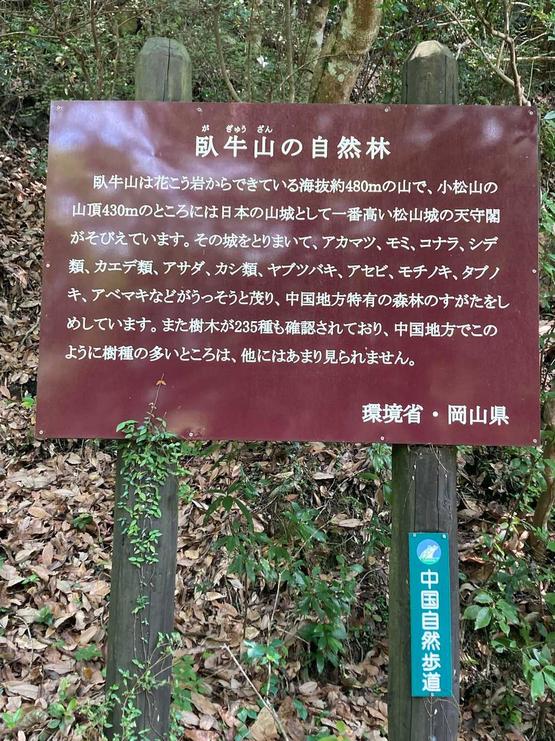 臥牛山 往復コースの写真
