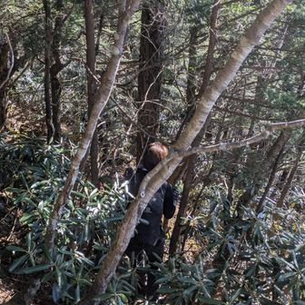 こんな感じの藪だった😮‍💨