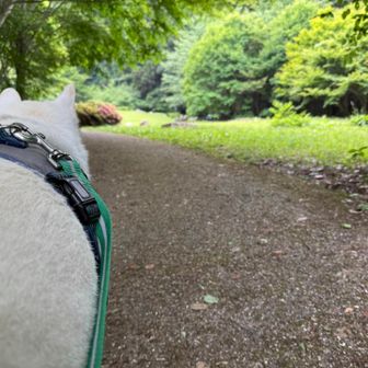 今日もおつかれ山