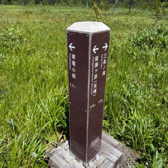 左手に進んで、東電小屋に向かいます。