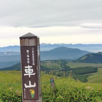 雰囲気は最高　(〃∇〃)🎉
