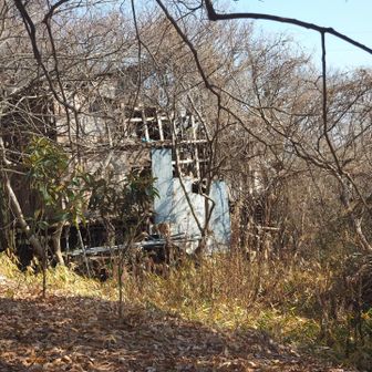 この辺りが三角点？