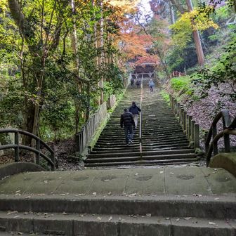 伝教大師最澄が1200年前に開いたら天台宗の古刹は歴史を感じました。