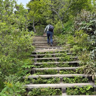 ニノ鎖元小屋
頂上までもうひと頑張り
