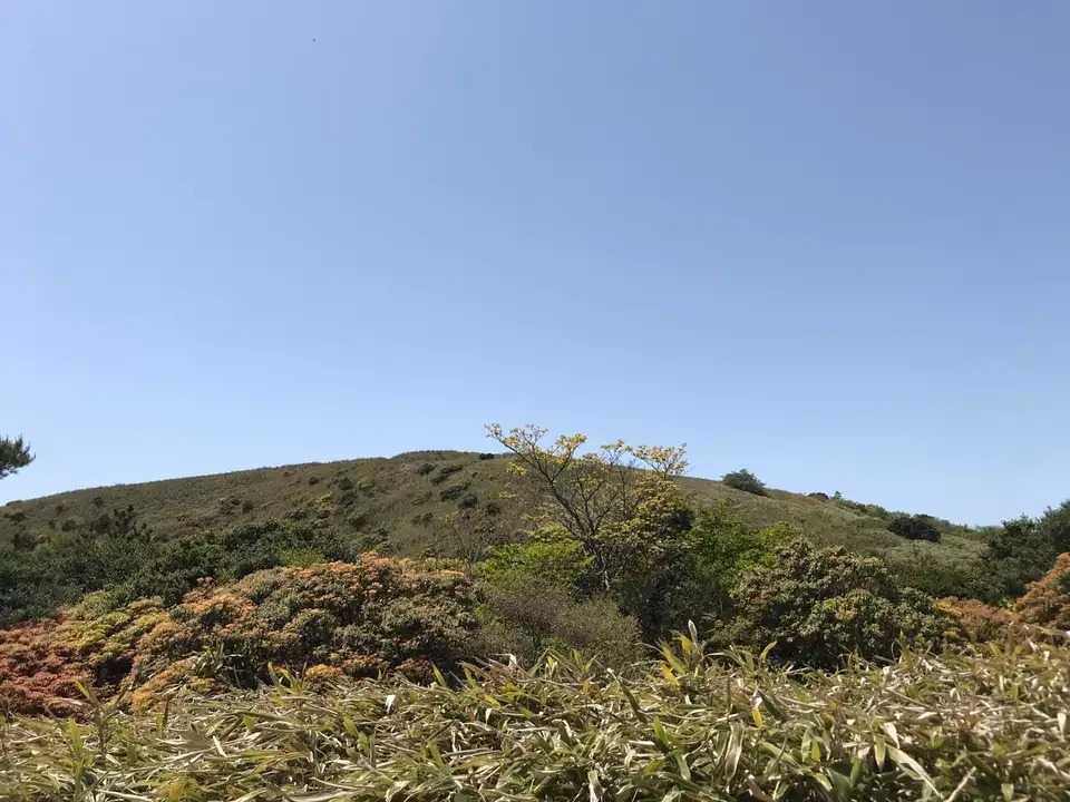 玄岳の写真