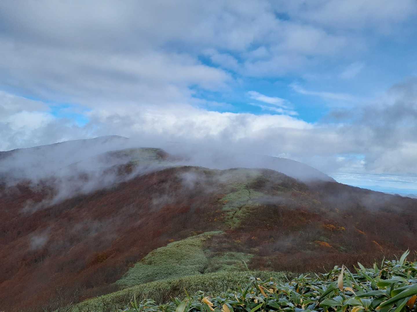 雨が小降りに
