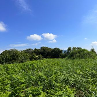 頂上は広い草っ原🌱
戦国時代激戦の地である猿毛城
右➡️に両軍を供養する塚が見えます🙏