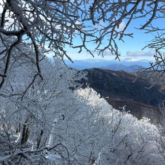 さて、名残惜しいですが下山します。下山途中から迷いやすいかもです。頼りになる山友のおかげでした。