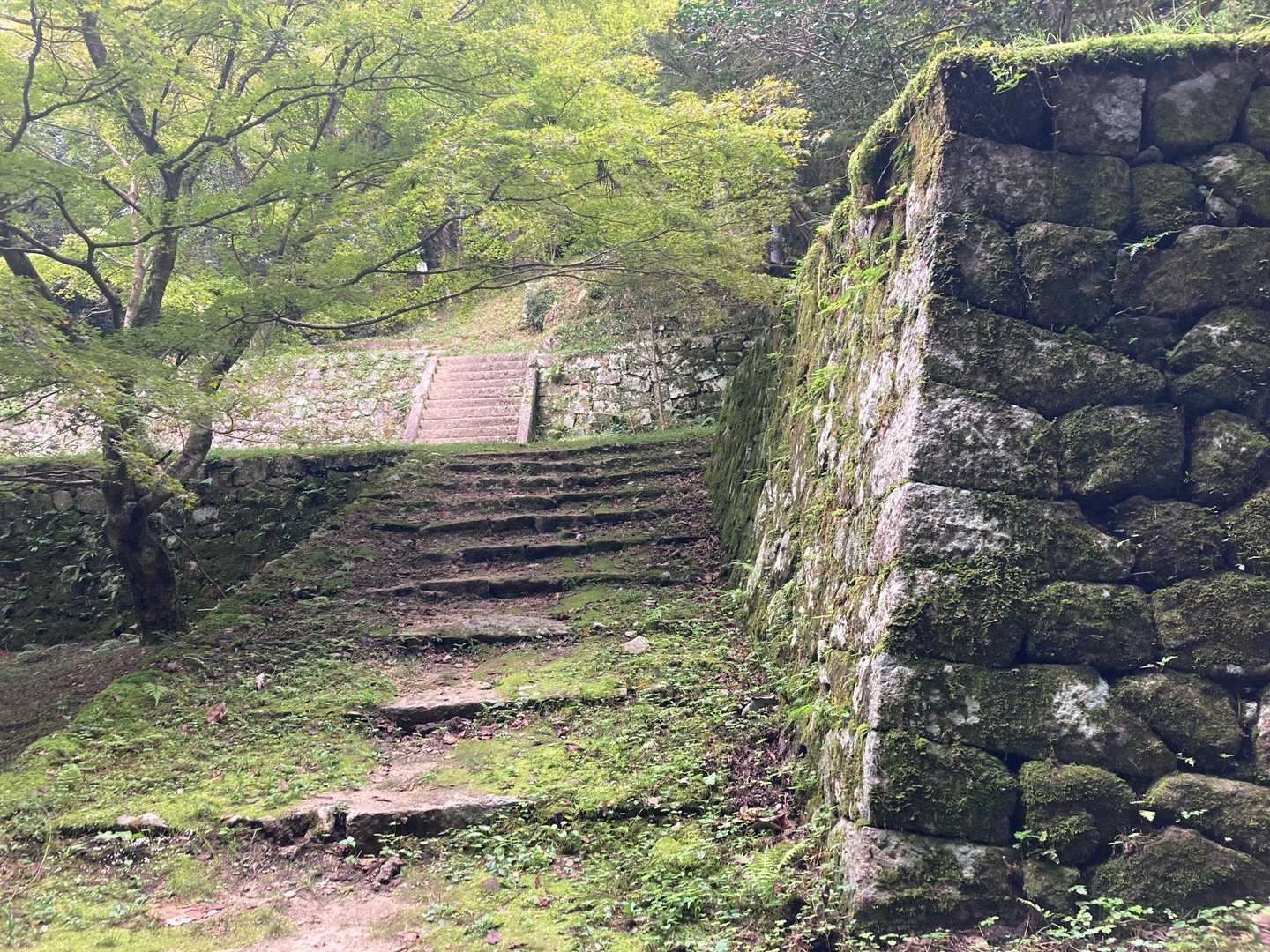 ここを上がって行くと八幡神社