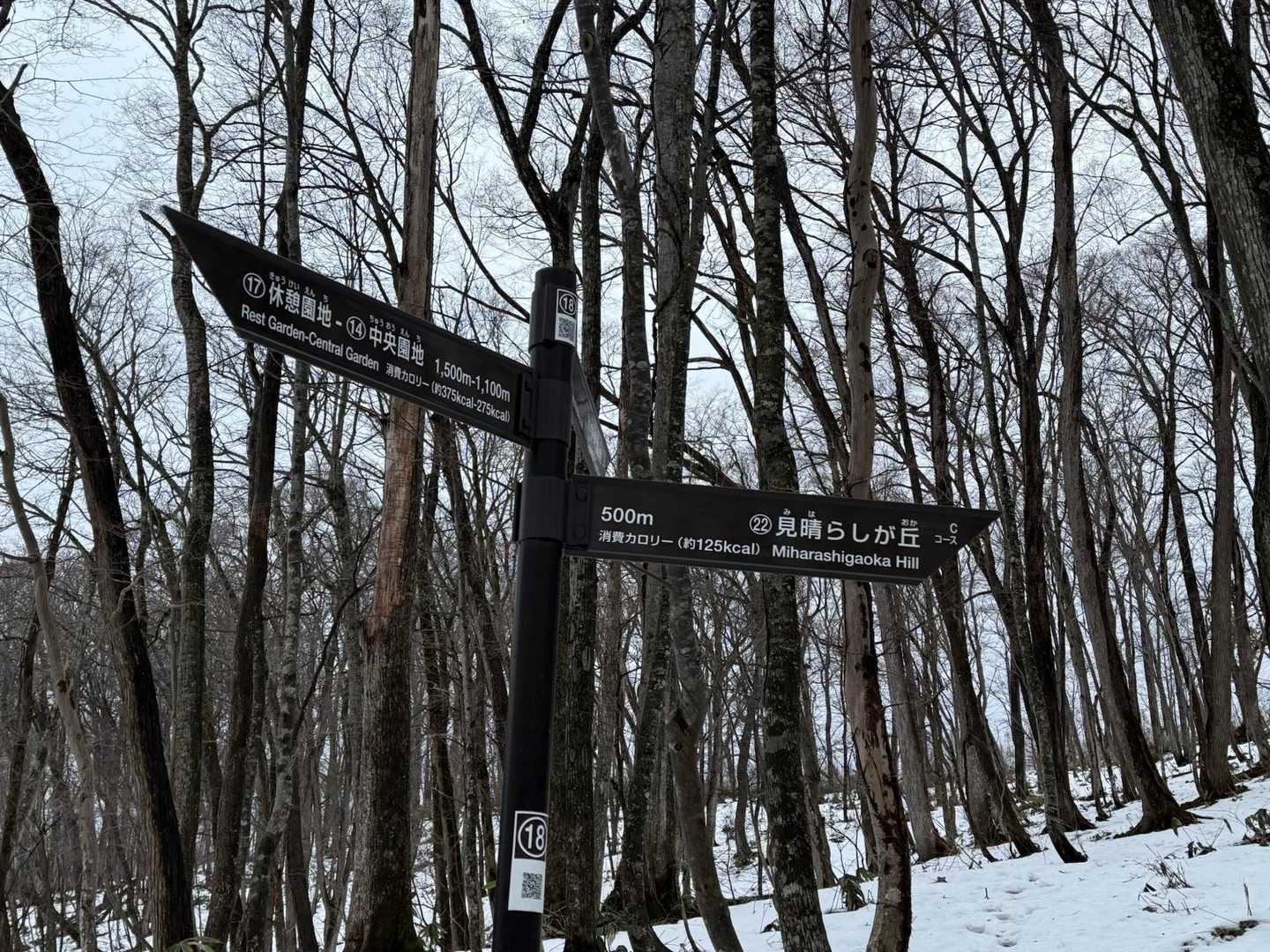 萩の山 周回コースの写真