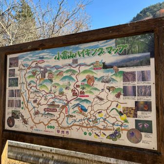 温かみのあるハイキングマップ
イノシシ🐗いますが🐻は描かれてません