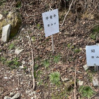 早々に下山して温泉♨️入って夜露と消える。
良い突発連休を頂きました🙏