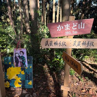 ほぼカマドウマじゃん