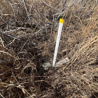 頂上から北へ導かれ
🔼三等三角点『小浅間』みっけ♪