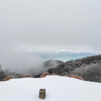景色はちょっぴり。
でもそこがいい(どこがや)