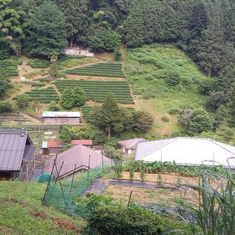 鎌沢集落