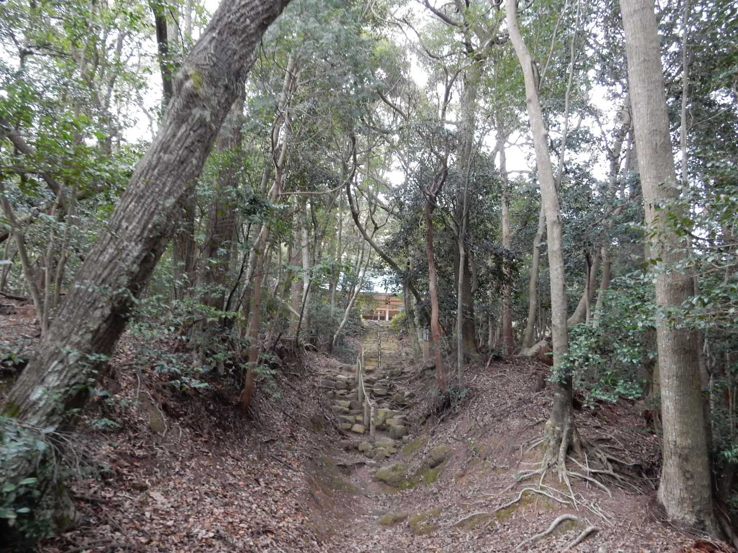 虚空蔵寺を望む。