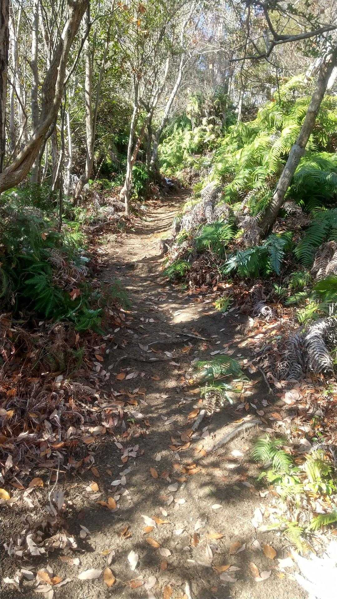 高城山に向かいます。
ゆっくり進みます。