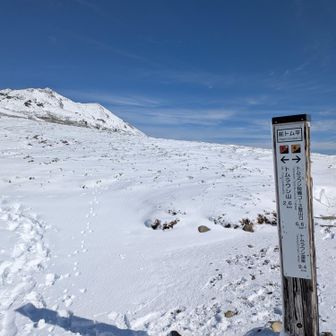 感覚8合目　ここからは遮るものもなく、雪と風とメンタルとの戦い。雪にも耐えられる手袋とシューズ、チェーンスパは重要だったかも！
※自分は夏山手袋二枚重ねでも指が痛かった🖐️（冬山用の手袋忘れた・・・）