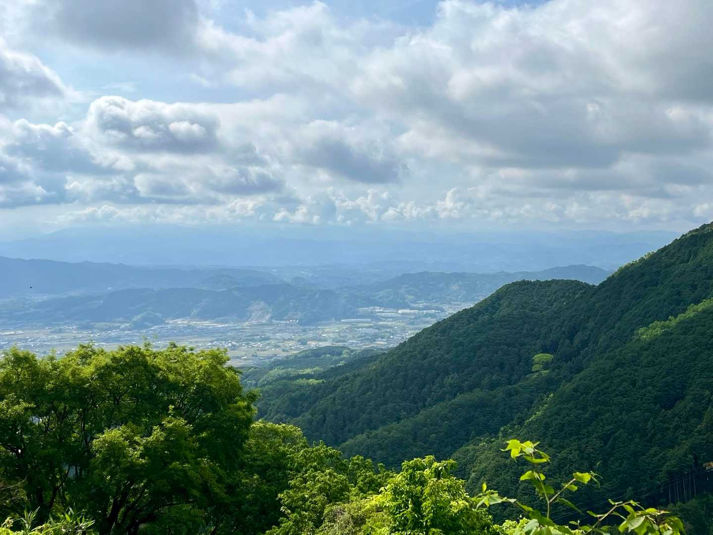 5月には圧巻のツツジの大群生。大阪・奈良を望む大和葛城山の写真