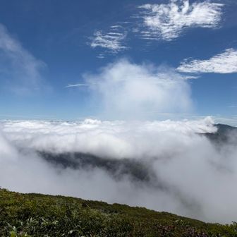障子ヶ岳から以東岳を見て、今回の山行に繋がったので、以東岳から障子ヶ岳見たかったけど、ガスどころか雲海。