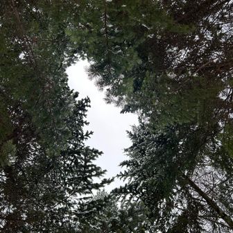 イマ　空を　パシャリ