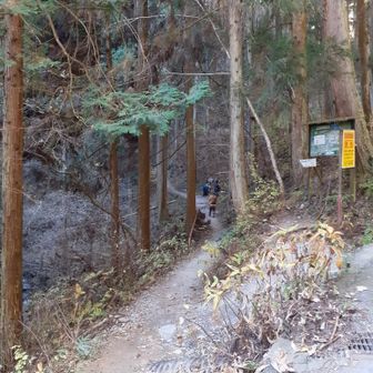 陣馬山登山口
ここまで来るのに約20分の登りで、結構なウォーミングアップ😅