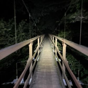 揺れた〜