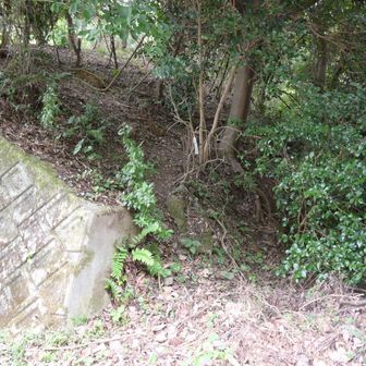 うっかり見落としましたがここがどん山の登山口