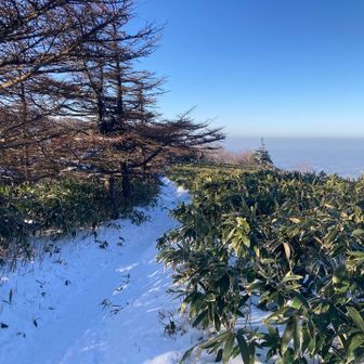 その後もゆるりと。