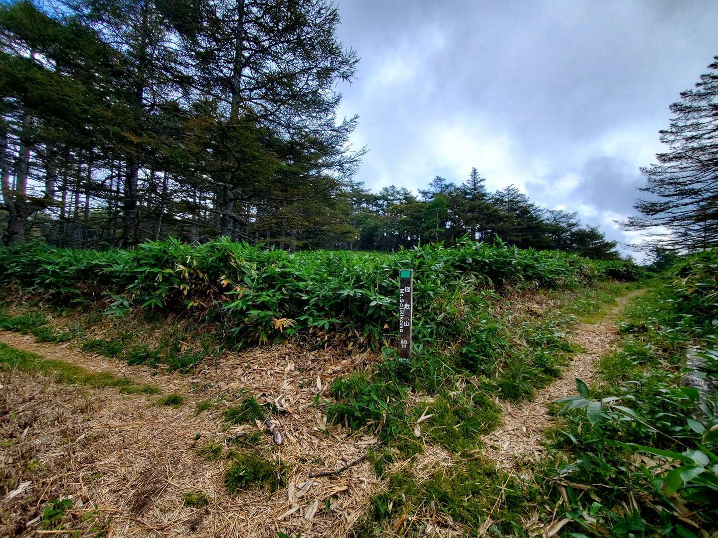 分岐
小棧敷山へは右。
まずは、左、棧敷山へ。