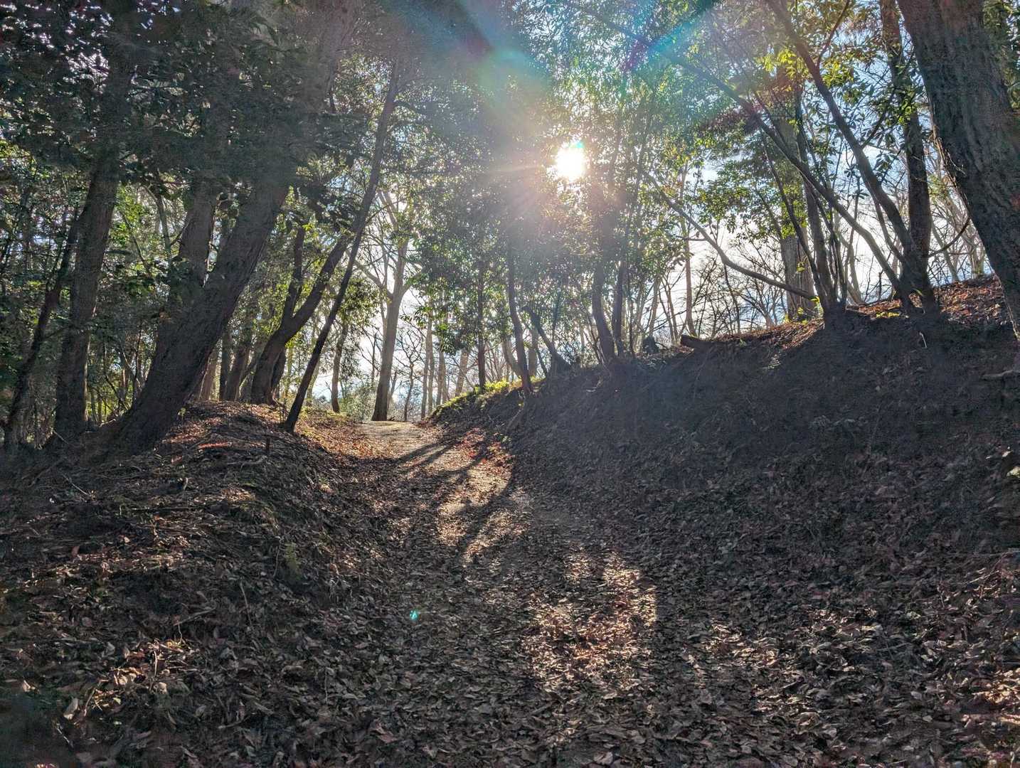 象鼻山 往復コースの写真