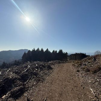 気持ち良すぎる🏃🏽‍♀️