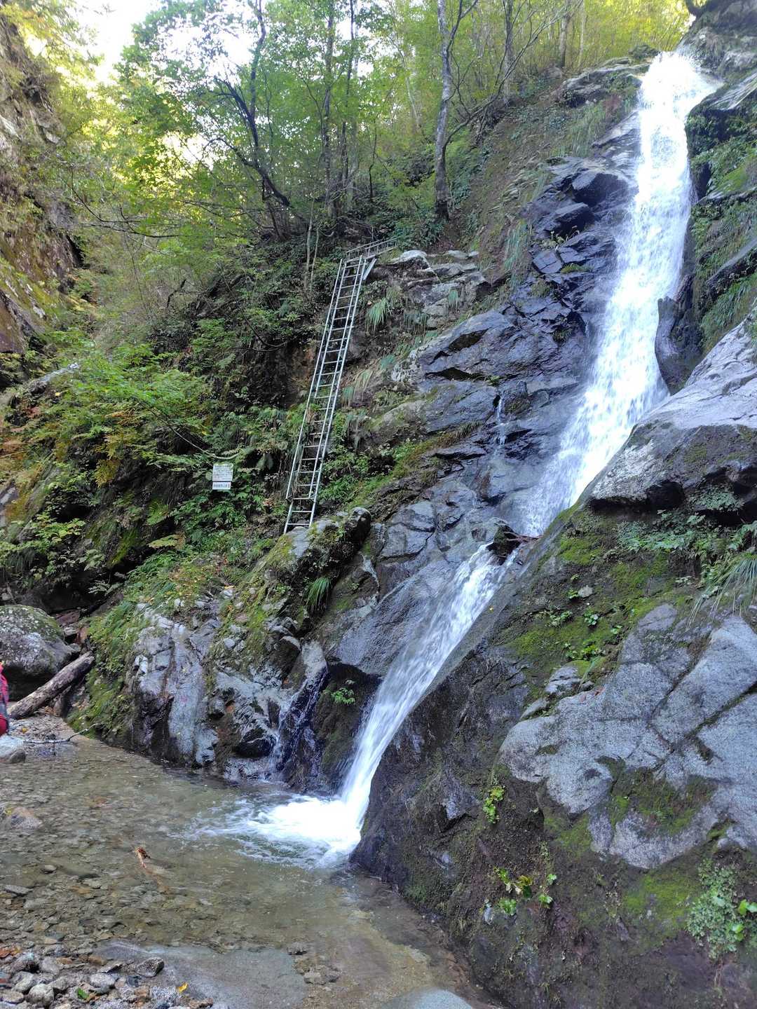 あの梯子を登ります⚠️
この後、山頂までは急登が続きます💦