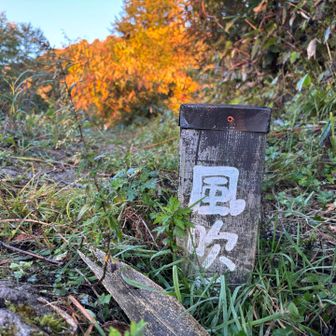 前置き長くてすみません🙇
ここから登山レポ