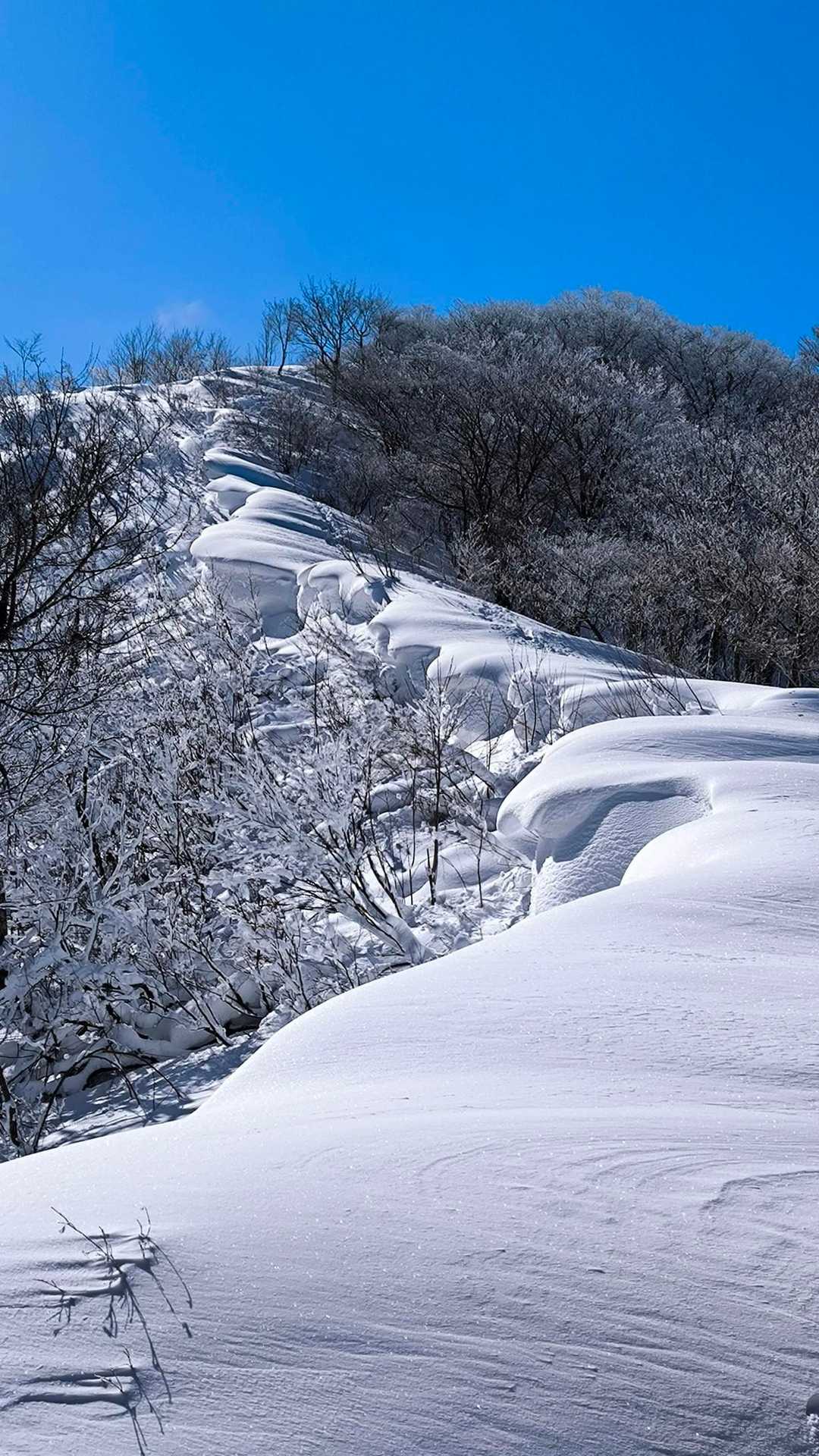 武奈ヶ岳-細川越 往復コースの写真
