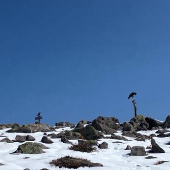 カラス🐦‍⬛🐦‍⬛
あと少しです