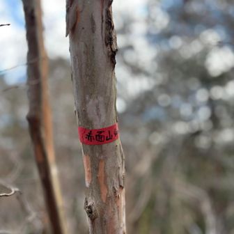 赤面山📍