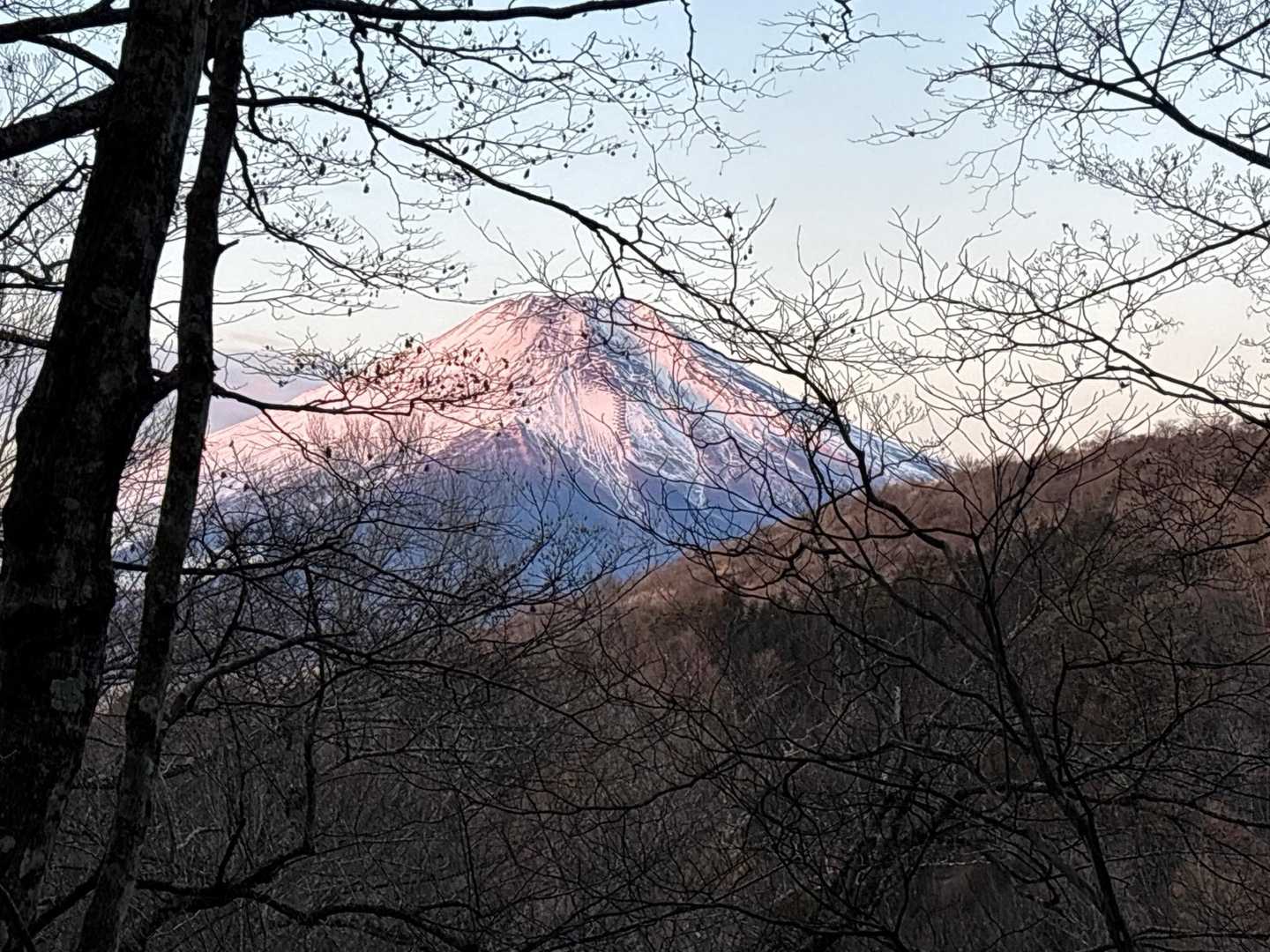 ファースト富士山