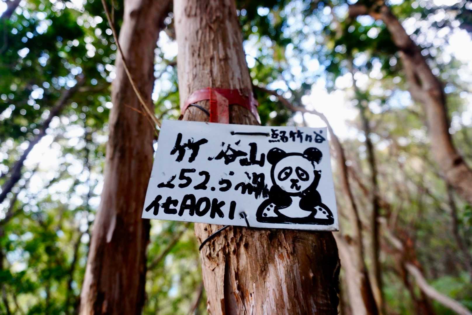 竹ノ谷山に到着♪