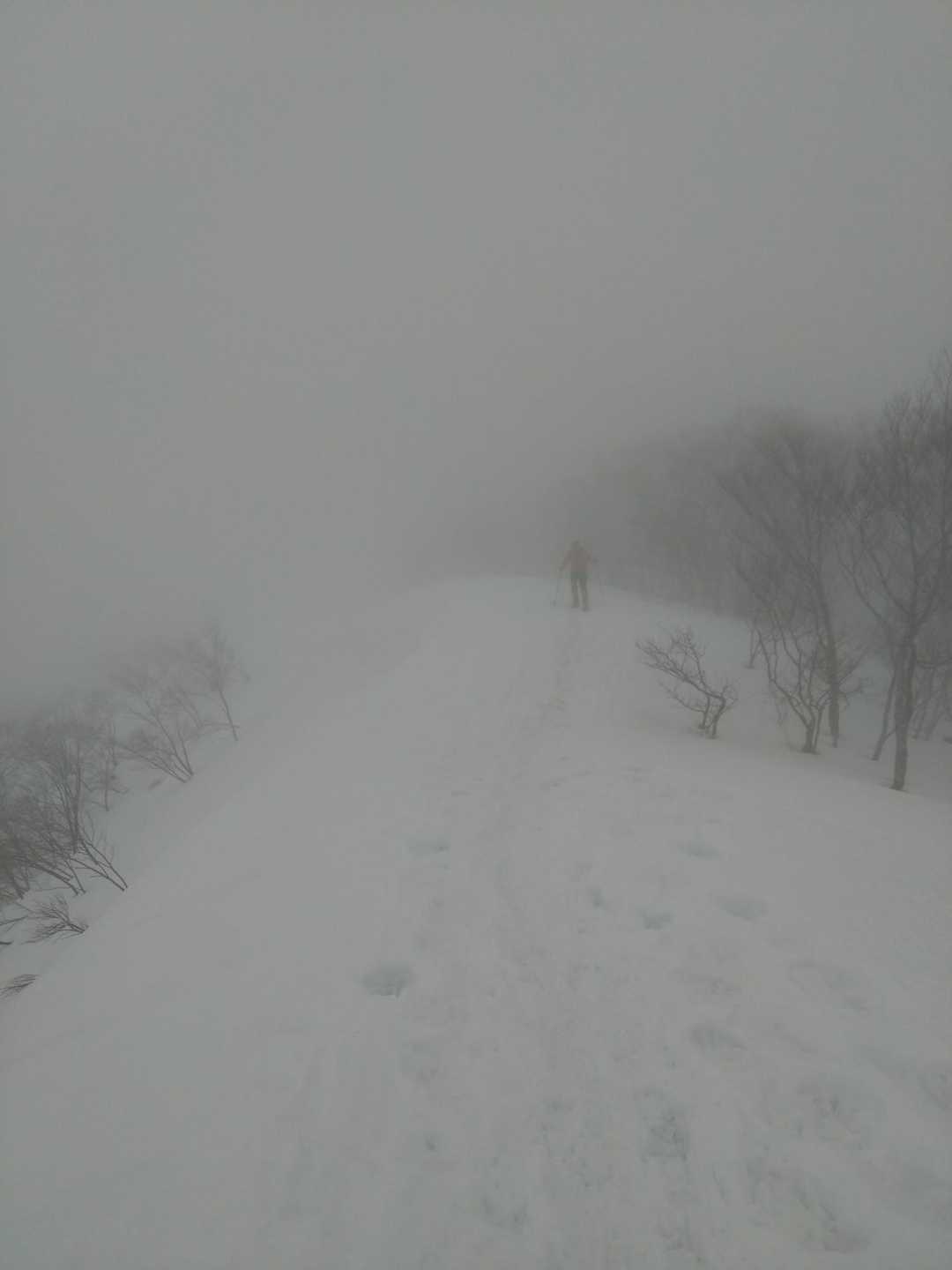 天神峠-熊穴沢ノ頭-登山入口-天神平駅 縦走コースの写真