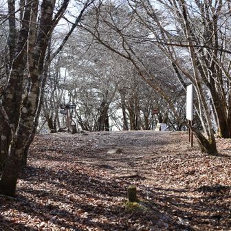 １時間足らずで黒岳着。