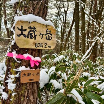 やっとこさ大蔵ヶ岳到着！
入山前にお兄さんからお祓いしてもらったからか、無事に辿り着くことができた
ちなみに下山したときにもお会いして「おかえりなさい」と声をかけてくださった🥹
物好きなヤツだと思われたに違いない