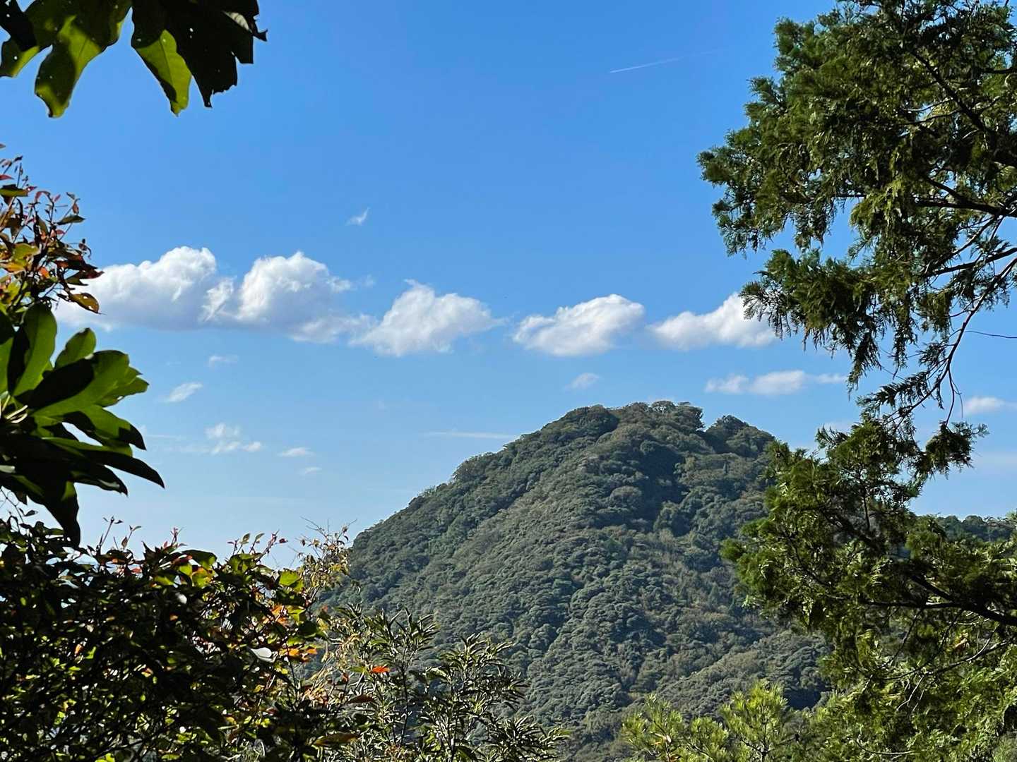 久松山⛰️