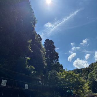 夏☀️