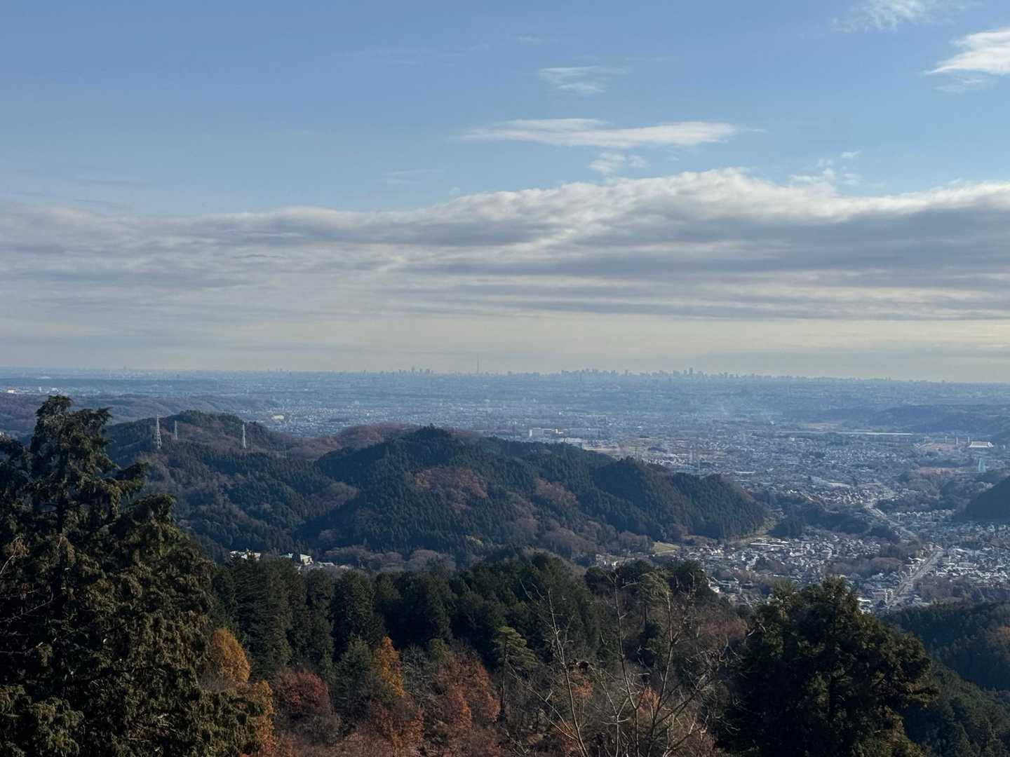 東屋から。雲多めだけれど優しい陽射しのよき日。