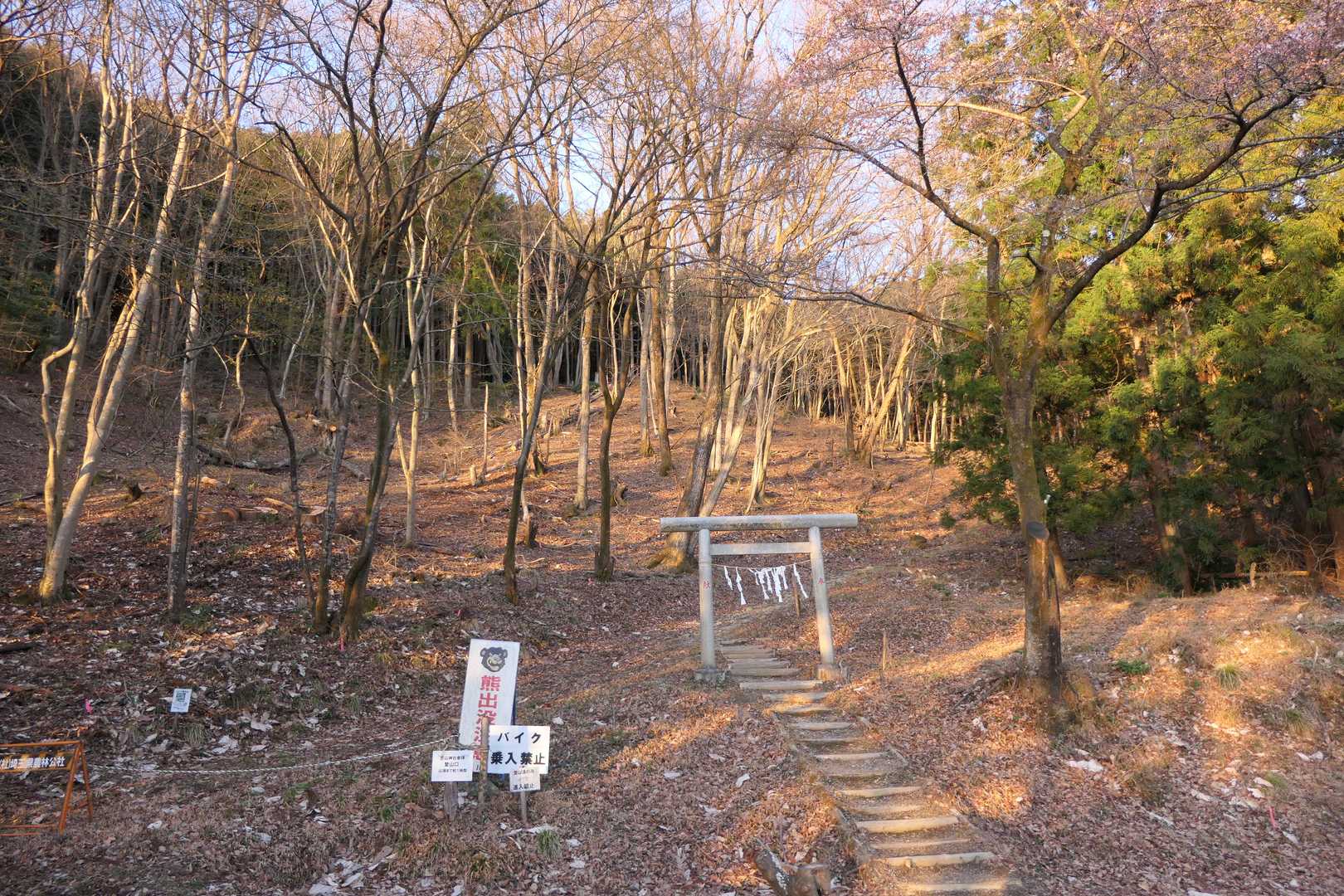 今日も栗山登山口からスタートです。